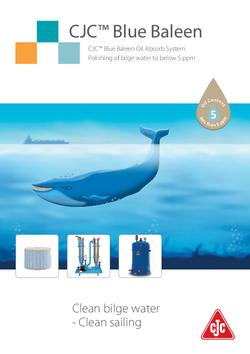 Blue Baleen brochure