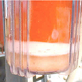 Bacteria growth - risk of blockage of filters