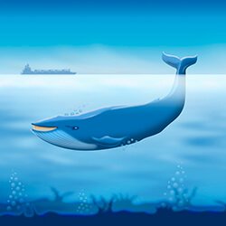 CJC Blue Baleen, Clean Bilge Water - Clean Sailing
